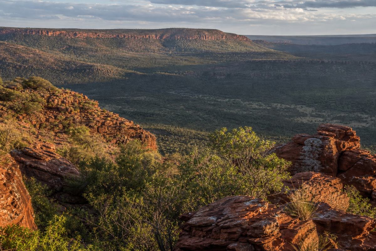 Thabazimbi Bushveld