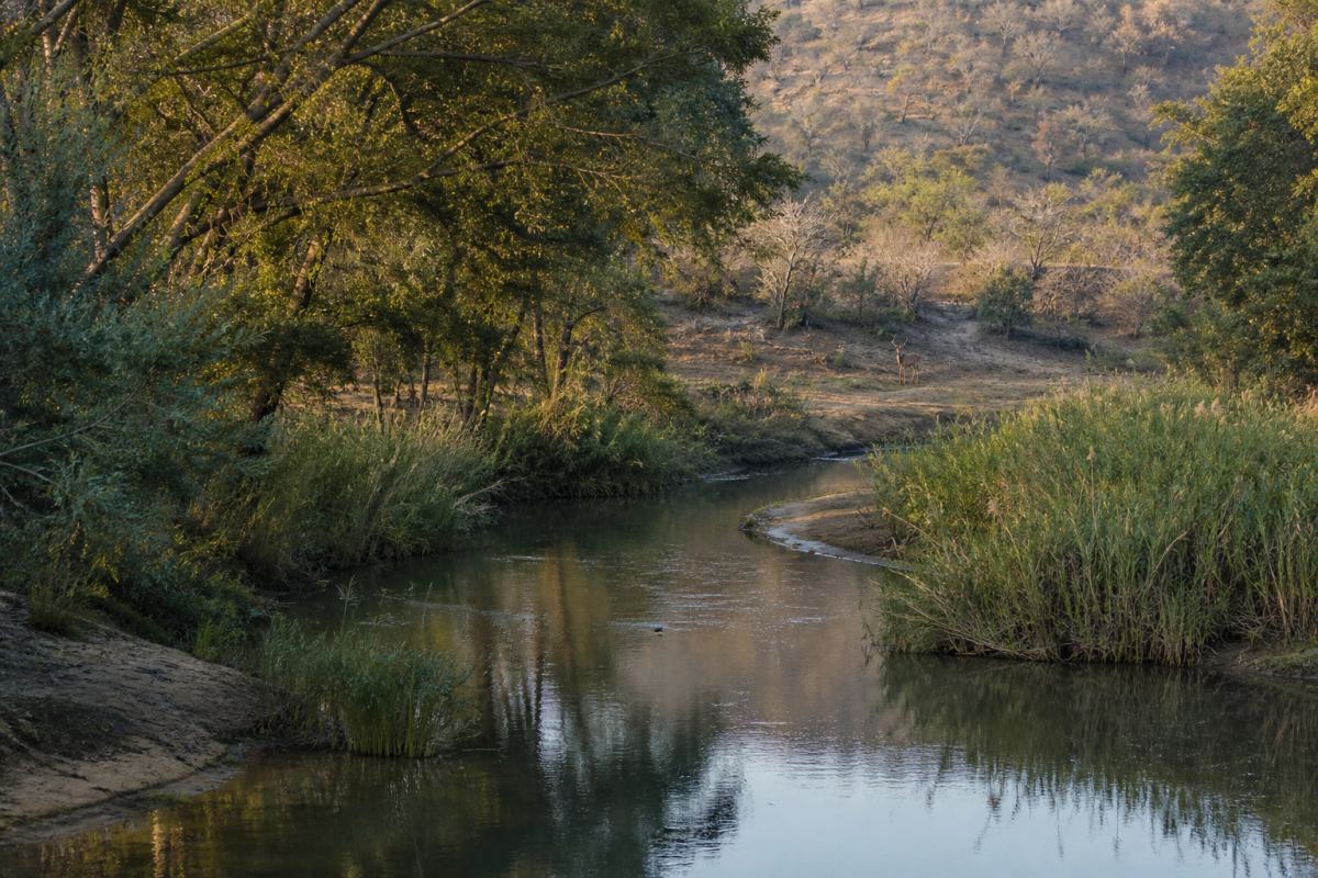 Palala River Frontage
